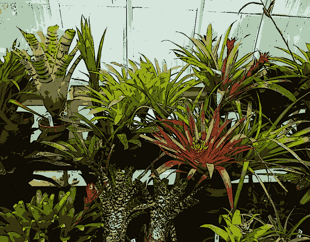 Cartoon Filter After